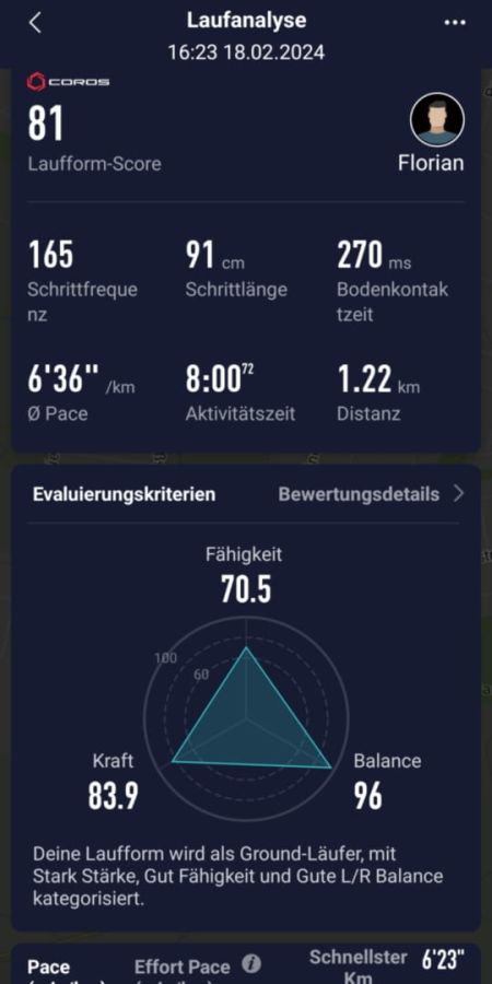 Auswertung nach Laufanalyse